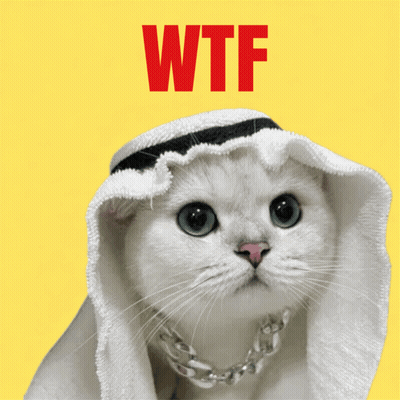 White Cat In Sheikh Hat And Habibi Necklace GIF