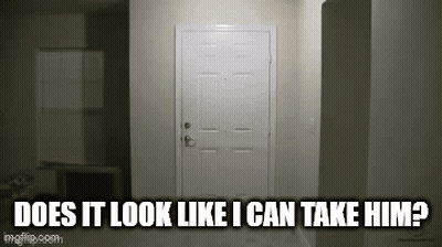 White Cat In Sunglasses Saying Sounds Good To Me GIF