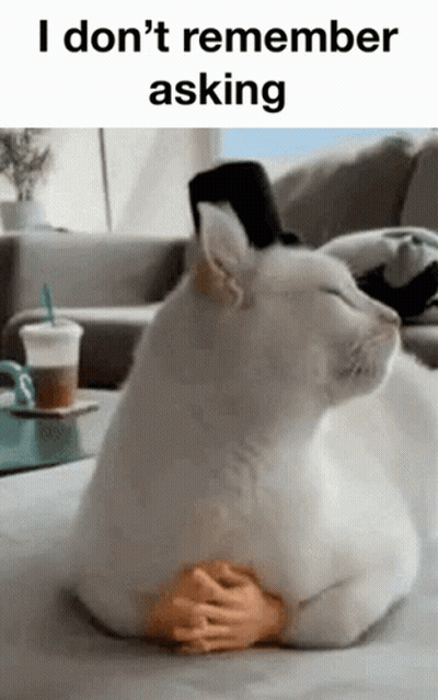 White Cat in Top Hat Laying on Couch With Toy Hand