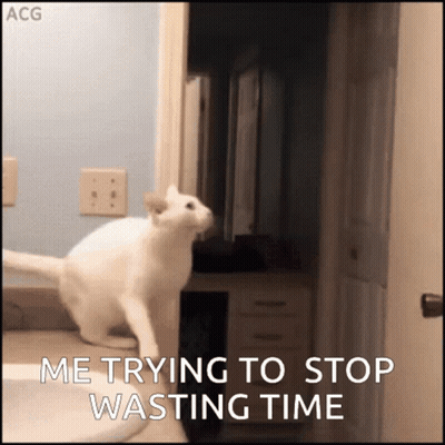 White Cat Jumping Over Sink Saying Me Trying To Stop Wasting Time GIF