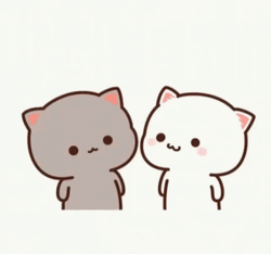 White Cat Kiss You GIF