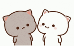 White Cat Kisses On Cheeks GIF