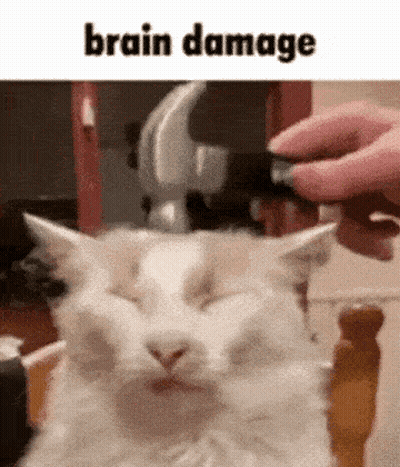 White Cat Laying As Person Puts Object On Head GIF