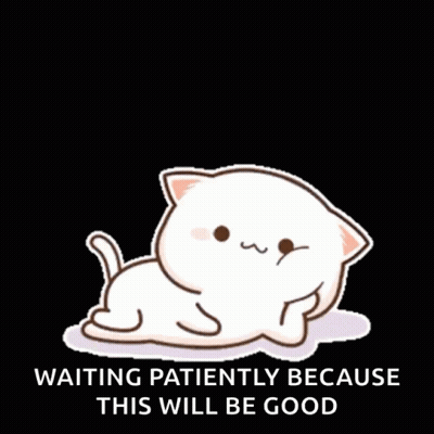 White Cat Laying Down Waiting Patiently Because This Will Be Good GIF