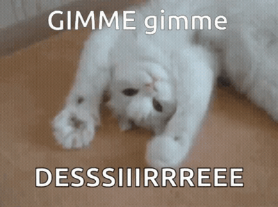 White Cat Laying On Back Gimme Gimme Dessiiirrree GIF