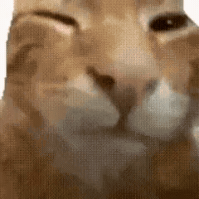 White Cat Laying On Back On Blanket GIF
