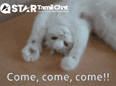White Cat Laying on Back Saying Come Come Come