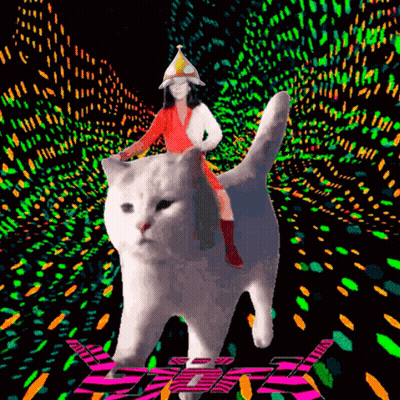 White Cat Laying On Back Saying Love You Too GIF