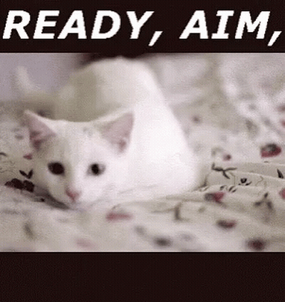 White Cat Laying On Bed Saying Ready Aim GIF