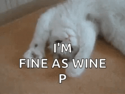 White Cat Laying On Floor Saying I'm Fine As Wine GIF