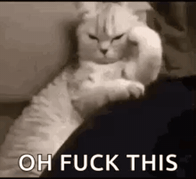 White Cat Laying On Lap With Paw On Head GIF