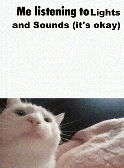 White Cat Listening To Lights And Sounds GIF
