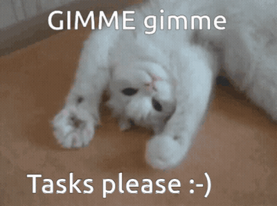 White Cat Lying On Back Gimme Gimme Tasks GIF