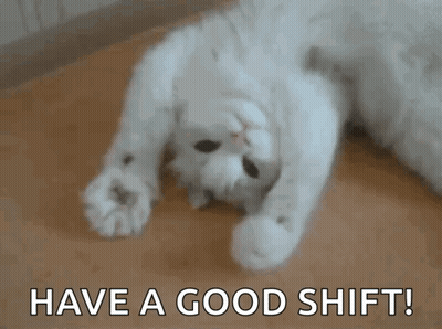 White Cat Lying On Back Have A Good Shift GIF