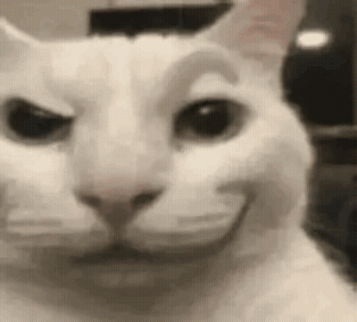 White Cat Making Funny Face Eyes Closed GIF