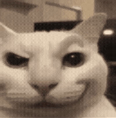 White Cat Making Funny Face With Mouth Open GIF