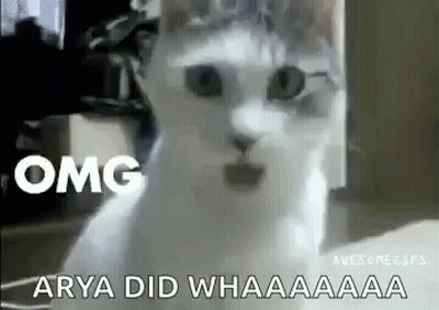 White Cat Omg Arya Did Whaaaa GIF