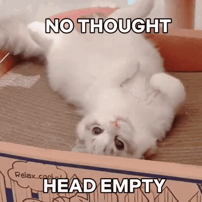White Cat On Back No Thought Head Empty GIF