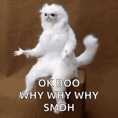 White Cat On Box Ok Boo Why Why Why Smdh GIF