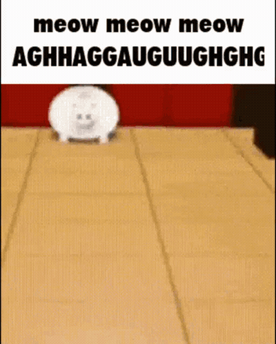 White Cat On Cardboard Meow Meow Meow Aghhaggauuughhghg GIF