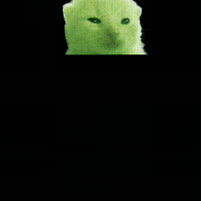 White Cat On Green Background GIF