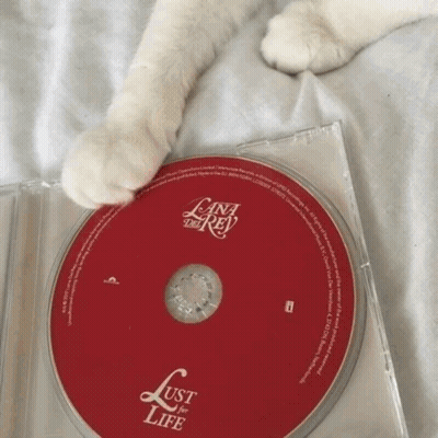 White Cat Paw On Lana Del Rey Lust For Life CD GIF