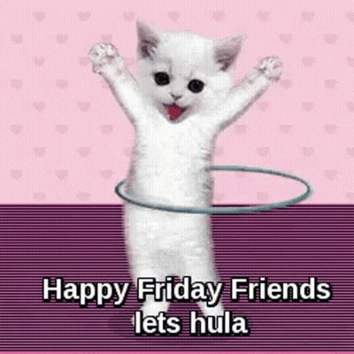 White Cat Playing With Hula Hoop GIF