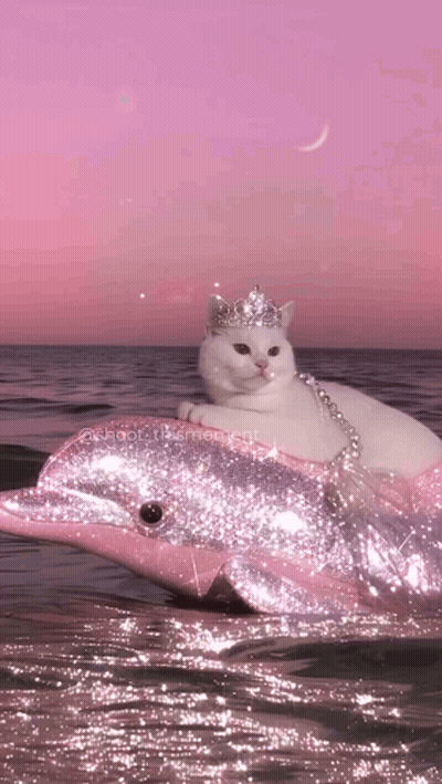 White Cat Riding Pink Dolphin GIF