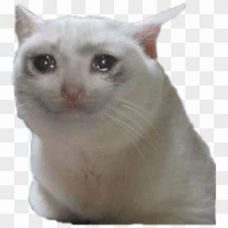 White Cat Screaming Heart Of Sadness GIF