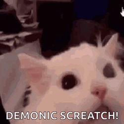 White Cat Screaming Meme GIF