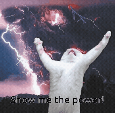 White Cat Showing Power GIF