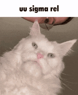 White Cat Sigma Meme GIF