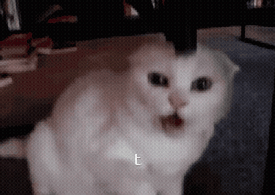 White Cat Sitting Beside Letter T GIF