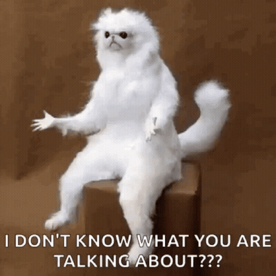 White Cat Sitting On Box Saying I Don't Know What You Are Talking About GIF