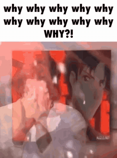 White Cat Sitting On Box Saying Porque But Why GIF