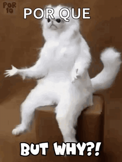 White Cat Sitting On Box Saying Porque But Why GIF