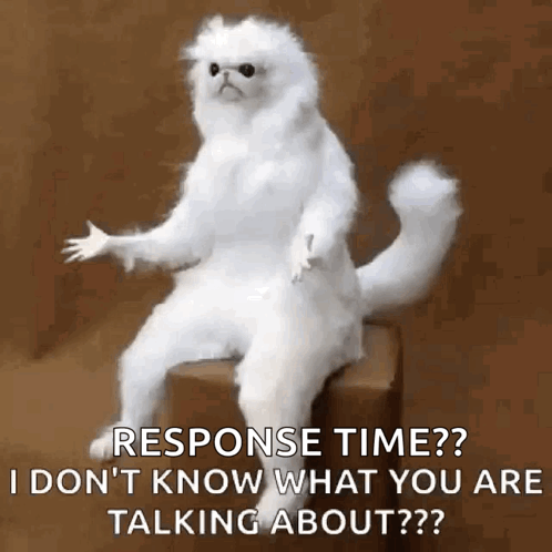 White Cat Sitting On Box Saying Response Time GIF