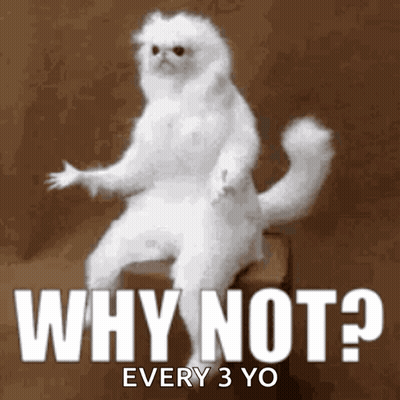 White Cat Sitting On Box Saying Why Not Every 3 Yo GIF