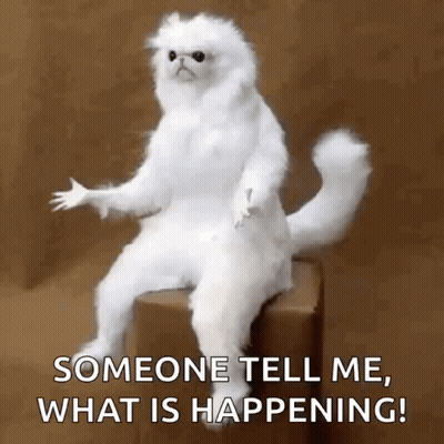 White Cat Sitting On Box Says Someone Tell Me What Is Happening GIF