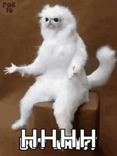 White Cat Sitting on Box With Paws Outstretched Saying Hhhh