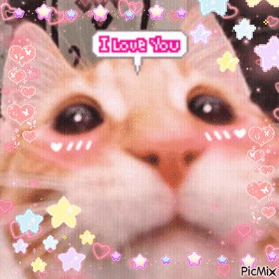 White Cat Sitting On Couch Saying I Love You GIF
