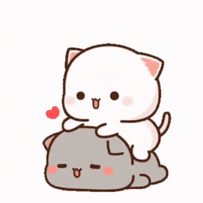 White Cat Sitting On Gray Cat GIF