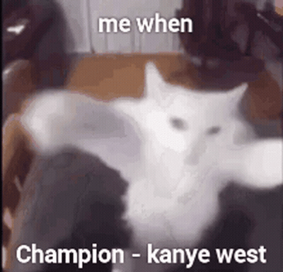 White Cat Sitting With Arms Outstretched GIF