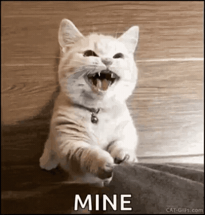 White Cat Sitting With Open Mouth Mine GIF