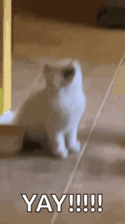 White Cat Sitting With Open Mouth Yay GIF