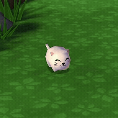 White Cat Smiling Walking on Grass