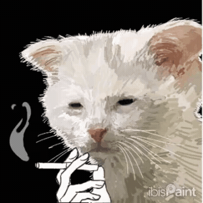 White Cat Smoking Cigarette Ibis Paint GIF
