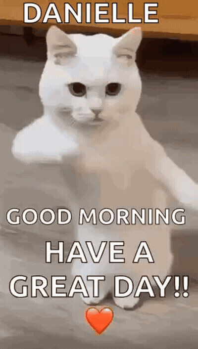 White Cat Standing Hind Legs Says Good Morning GIF