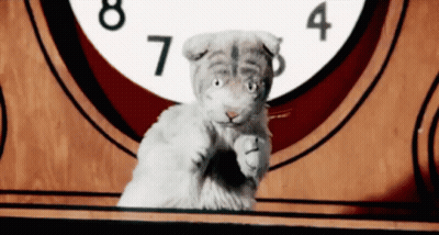 White Cat Standing In Front Of Clock At 8 And 4 GIF