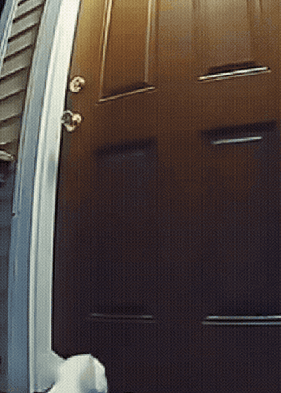 White Cat Standing In Front Of Door GIF